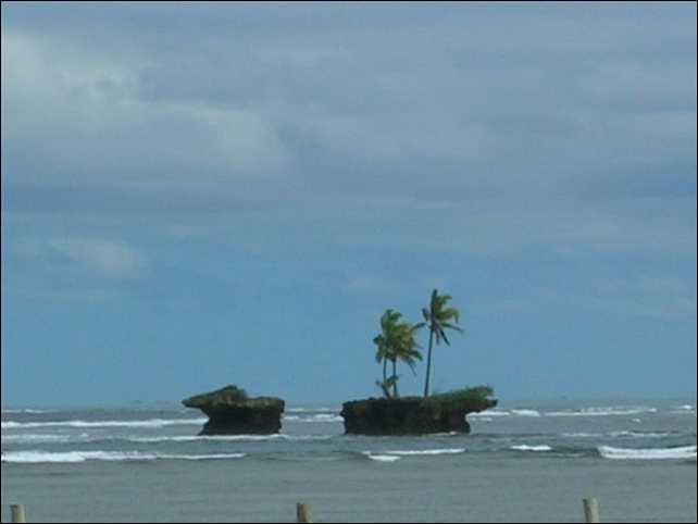 Galeria - Fiji